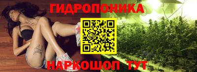 ПСИЛОЦИБИНОВЫЕ ГРИБЫ Гусев