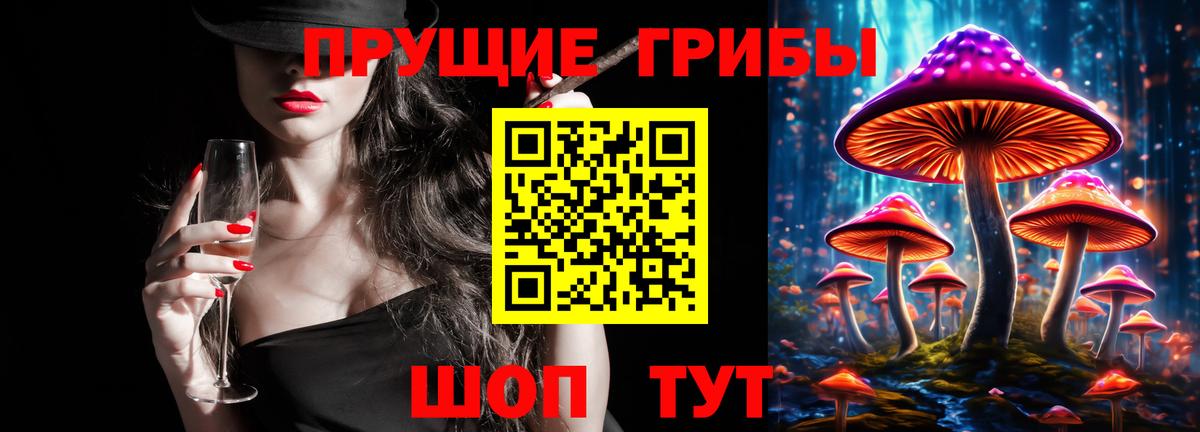 Псилоцибиновые грибы прущие грибы Новоалександровск