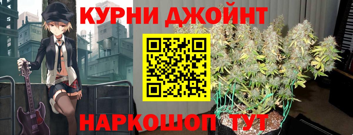 Канабис планчик Новоалександровск